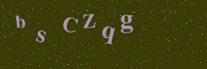 Validation image
